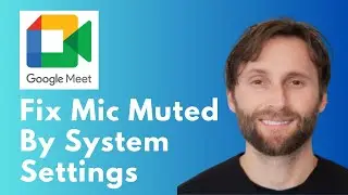 How to Fix Google Meet Mic Muted by System Settings [Full Guide 2026]