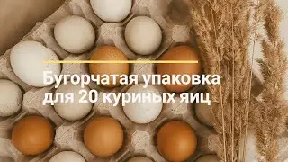 Бугорчатая упаковка для 20 куриных яиц | SHKOLHOZ