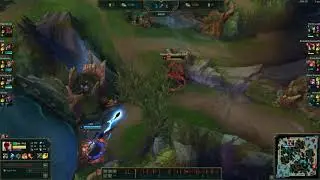 leesin'd