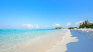 Paradise Found: Maldives Beach and Crystal Blue Waters. Ocean 4K Ultra HD