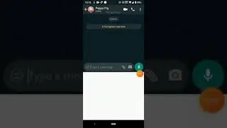 Chatting With (Peppa Pig)