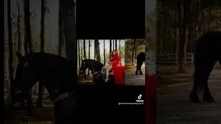 Sesión maternidad 💕🤰🏻🐎📸 en caballo