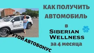 Автобонус Siberian Wellness (Сибирское здоровье). Как получить авто за 4 месяца?  Сетевой маркетинг