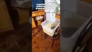 В селе Поим Белинского района вода добралась до домов местных жителей