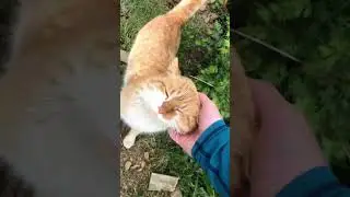 SUP прогулка по горному озеру