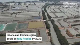Preventing flooding in Indonesia's Demak region