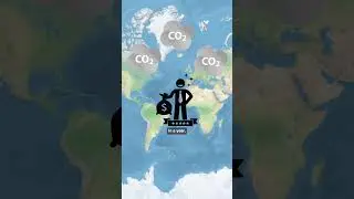 Should we tax the rich for climate change?