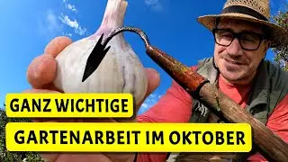 DAS solltest du jetzt im Oktober machen! Wichtige Gartenarbeit / Werkstatt