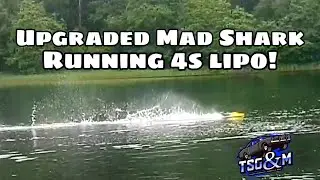 Upgraded Mad Shark brushless on 4s lipo