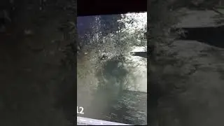 Медведи продолжают терроризировать жителей села Тунгор