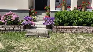 Обзор нашего участка. Показываю огород, цветники, клумбы. И хозяйственные уголки. И кусочек леса