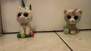 Who’s the better character Beanie boo edition Harmony Vs Heather
