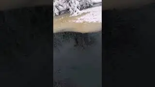 Типичный сельский день