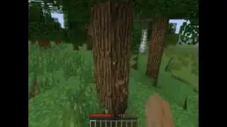 Lets play по Майнкрафт 1 часть Хороший биом