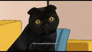 СЕМЕЙНАЯ ИПОТЕКА - Кот Бублик