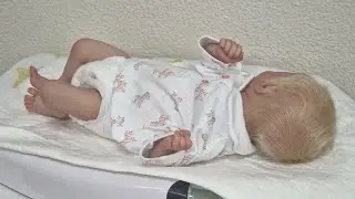 ¡Cachitos Reborn está emitiendo en directo!