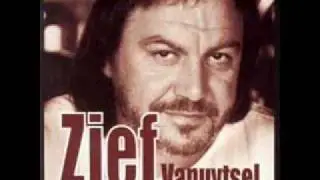 Zjef Vanuytsel - High society