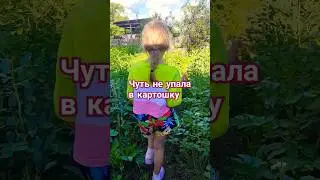 Пора капать картошку #юмор #огород #огородкруглыйгод #вайн #вайнвидео #вайны #полинаплуталова
