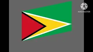 Flag band:South America 10 + pitched