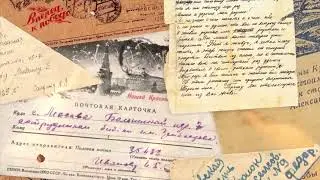 16 ноября 2023 г.