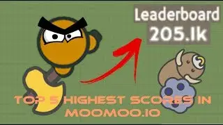 Top 5 Highest Scores In MooMoo.io