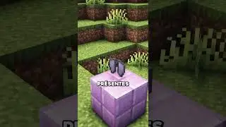 Des nouvelles ELYTRAS dans Minecraft 🪽