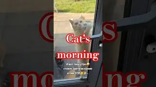 Сейчас нас всех покормят