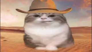 стонать ковбой🤠 #мем