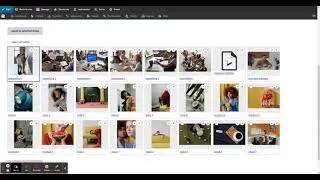 Varbase Media - Media Bulk Upload - Varbase 9.0.0 extra