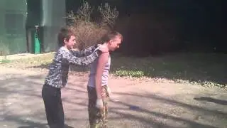 Гигантский дворник