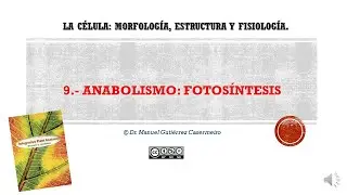 09 2 Fotosistesis Fases y Fotosistemas