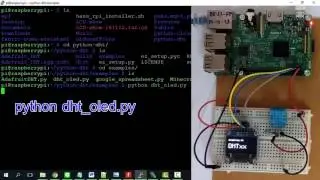 Raspberry Pi DHT Sensor OLED Display
