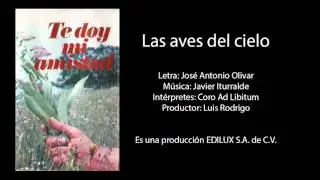 Te doy mi amistad - Las aves del cielo