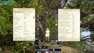 ArcheAge 7.0. Каст для магов с одноруком, двуруком и дуалами
