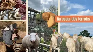 Agritourisme, gastronomie et acteurs de nos campagnes