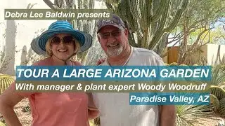 Multiacre High-End Arizona Succulent Garden