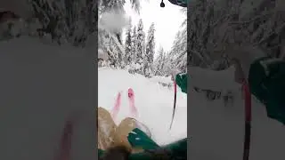 powder skiing