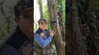 Fototrappolaggio tips. Sicurezza. 