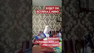 БУДЕТ ЛИ ВСТРЕЧА С НИМ? #таро #гадание#таросудьбы#таропрогноз#таролог#тародня#тароонлайн#тарорасклад