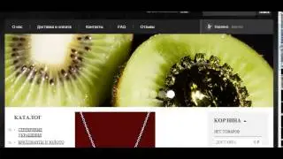 Комментарии по оформлению сайта Silver Joy от проекта Makemyshop ru  (Аудит сайта)