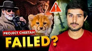 Why Modi Govt’s Project Cheetah has FAILED? | Dhruv Rathee
