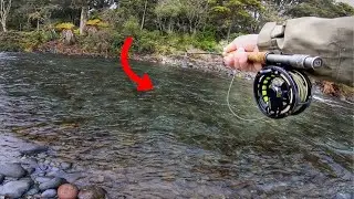 How to Spot and catch Trout. [Gear i use]