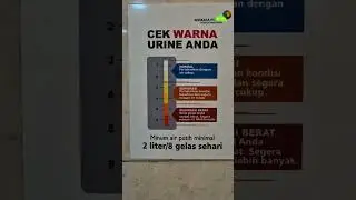 Saat Traveling Cek Warna Urin Anda #cekwarnaurin #artiwarnaurin #apawarnaurinanda