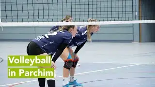 1. VC Parchim - SG Einheit Zepernick