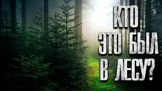 КТО ЭТО БЫЛ В ЛЕСУ? Страшные истории. Рассказы на ночь