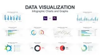 After Effects Template : Data Visualization - Infographic Charts and Graphs