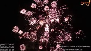 Салют на свадьбу 03 08 13