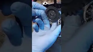 Spiders Got INSIDE This Engine? How?! 
