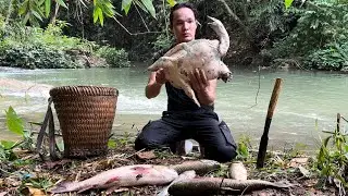Visit the trap, One lucky day , vang hoa