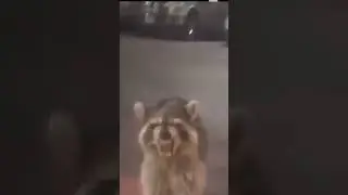 I think he bout to sneeze